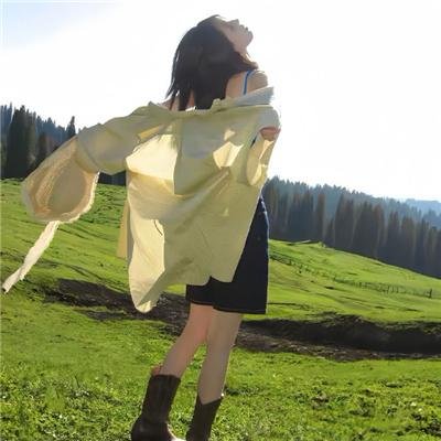 小屁孩日记2